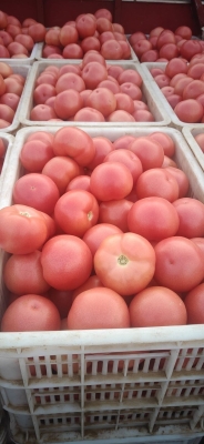 赤峰寧城燉骨頭店電話號碼多少-第1張圖片