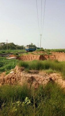 赤峰最大的鴨廠-第1張圖片