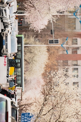 赤峰澳亞八廠電話地址查詢-第1張圖片