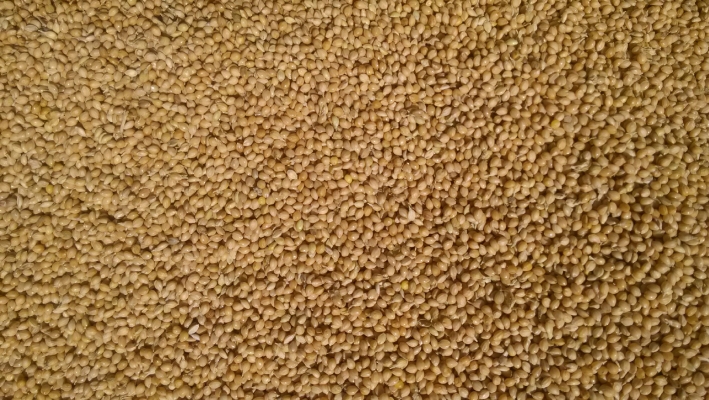 赤峰護(hù)膚品制造商電話號(hào)碼-第1張圖片