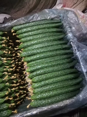 赤峰寧城縣艷子飯店電話號(hào)碼-第1張圖片