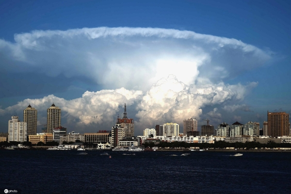 赤峰蘑菇云飯店電話號碼查詢-第1張圖片