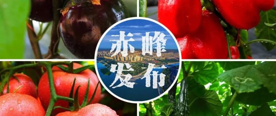 赤峰花菇基地電話多少號(hào)碼-第1張圖片