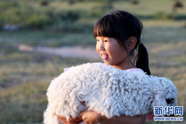 赤峰收死羊羔電話多少號啊-第1張圖片