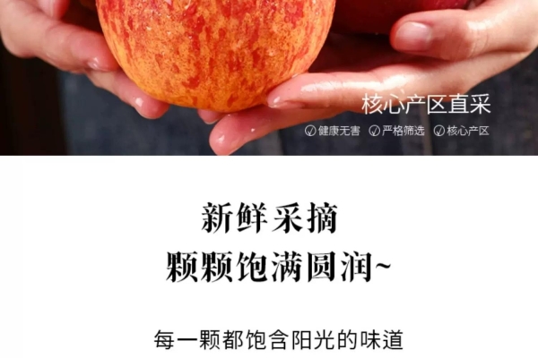 赤峰糖心蘋果采摘基地電話號碼-第1張圖片