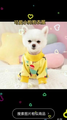 赤峰寵物衣服批發(fā)市場電話號碼-第1張圖片