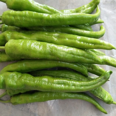 赤峰辣椒代辦公司電話號碼查詢-第1張圖片