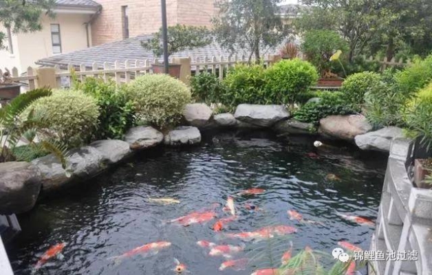 赤峰養(yǎng)魚池出租電話多少號-第1張圖片