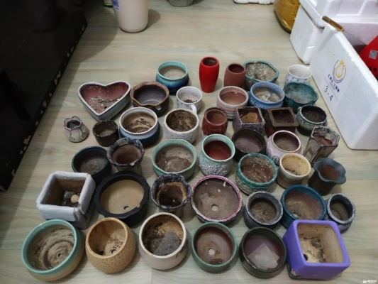 赤峰二手花盆轉(zhuǎn)讓電話號(hào)碼-第1張圖片