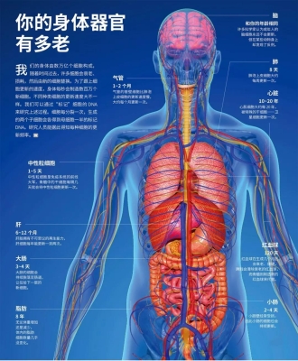 赤峰胎盤儲存廠家電話號碼查詢-第1張圖片