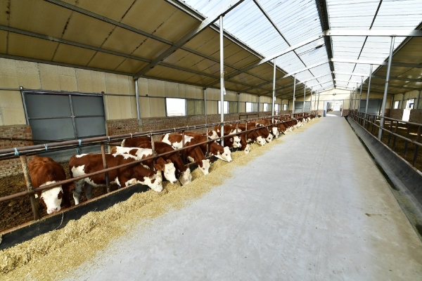 赤峰植物油批發(fā)電話地址查詢-第1張圖片