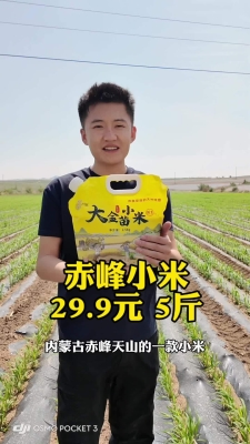 赤峰高檔小米手機(jī)店電話號(hào)碼-第1張圖片