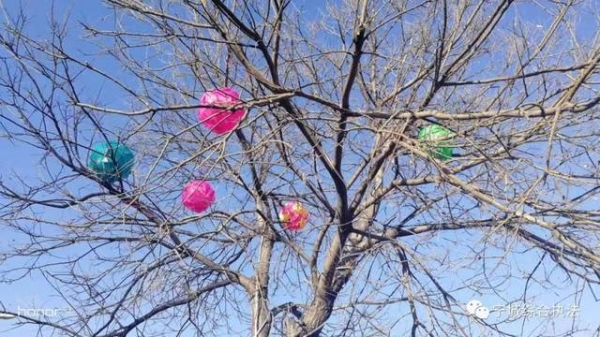 赤峰寧城縣城管局電話號碼-第1張圖片