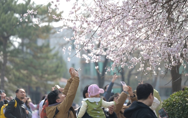 廣西倒春寒-第1張圖片