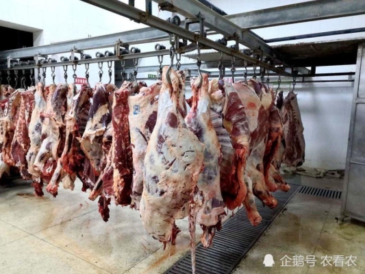 赤峰肉雞屠宰場(chǎng)電話號(hào)碼查詢-第1張圖片