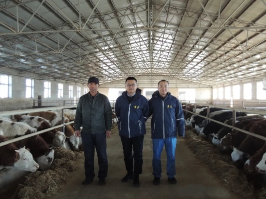 赤峰羊養(yǎng)殖廠家電話地址查詢-第1張圖片