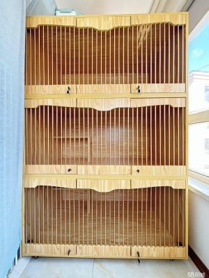 赤峰貓籠出售信息網(wǎng)電話號(hào)碼-第1張圖片