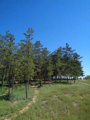 赤峰橋北雜技團(tuán)地址電話號(hào)碼-第1張圖片