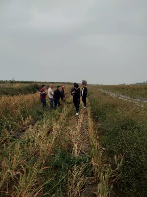 赤峰文鐘景區(qū)電話(huà)號(hào)碼查詢(xún)是多少-第1張圖片