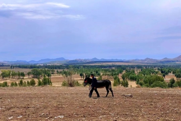 赤峰敖漢結(jié)婚酒店電話號碼多少-第1張圖片