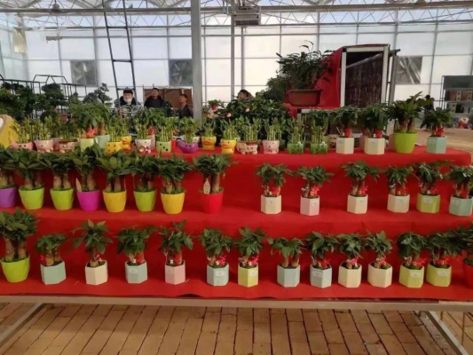 赤峰市批發(fā)市場(chǎng)在哪里?-第1張圖片