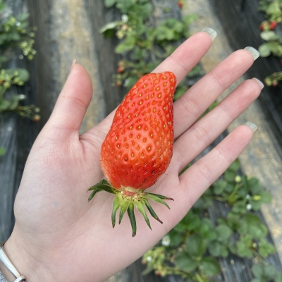 赤峰金豆豆農(nóng)場(chǎng)地址電話號(hào)碼-第1張圖片