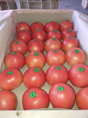 赤峰佳友草莓園電話號碼查詢-第1張圖片