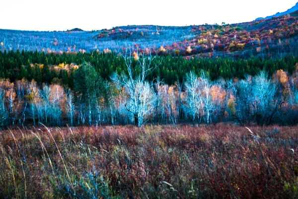 赤峰韓盛萬悅城電話地址查詢-第1張圖片