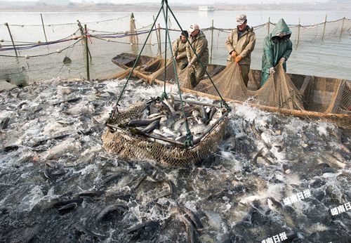 赤峰市東湖漁場電話多少號-第1張圖片