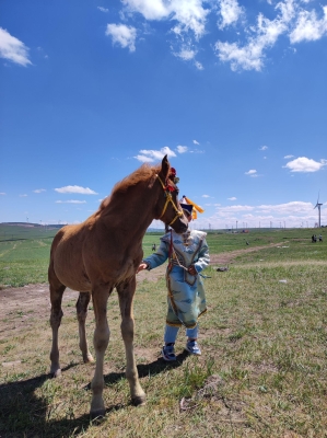 赤峰市歡樂(lè)牧場(chǎng)電話號(hào)碼查詢-第1張圖片
