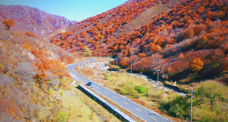 赤峰林西川菜館地址電話號(hào)碼-第1張圖片