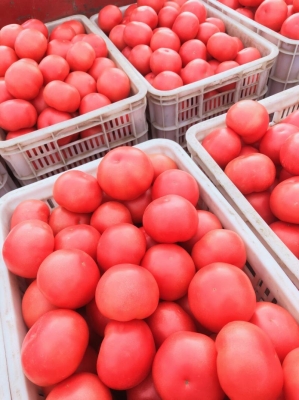 赤峰石膏粉袋批發(fā)電話號碼-第1張圖片