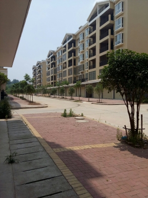 赤峰雙橋社區(qū)居委會(huì)電話號(hào)碼-第1張圖片