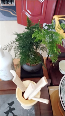 赤峰綠植批發(fā)市場-第1張圖片