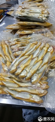 赤峰大黃花魚批發(fā)電話號碼-第1張圖片