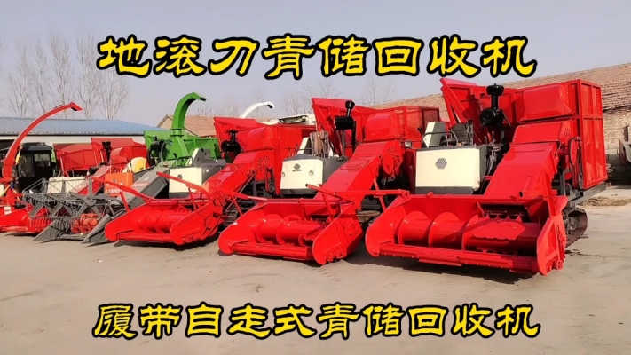 赤峰青儲(chǔ)玉米回收電話號(hào)碼是多少-第1張圖片