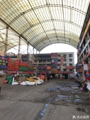 赤峰紅嘴鴨苗批發(fā)市場(chǎng)電話號(hào)碼-第1張圖片