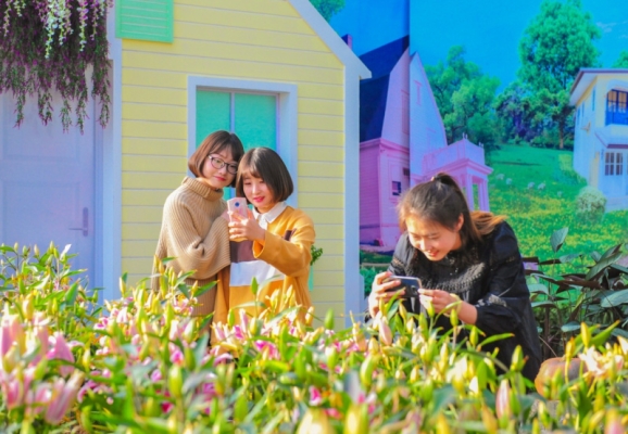 赤峰維多利嘉年華電話號(hào)碼查詢-第1張圖片