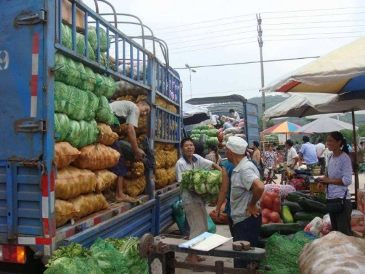 赤峰冰凍玫瑰批發(fā)市場電話號碼-第1張圖片