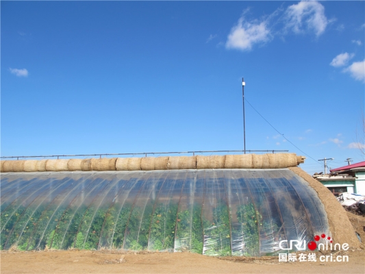 赤峰市結(jié)婚大棚廠家電話號(hào)碼-第1張圖片