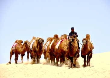 赤峰善水軒洗浴電話號碼查詢-第1張圖片