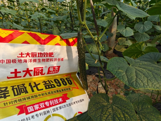 赤峰肥料水溶肥廠家電話號碼-第1張圖片