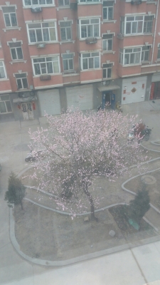 赤峰到天義的物流貨車(chē)-第1張圖片