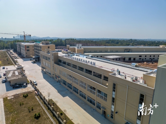 赤峰生豬加工廠家電話號(hào)碼-第1張圖片