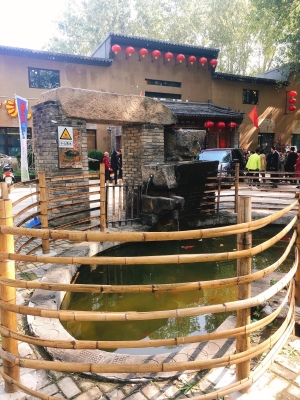 赤峰扒豬臉店電話號碼多少-第1張圖片