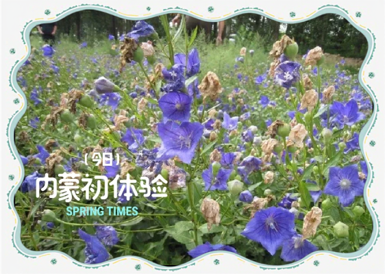 赤峰錦惠大藥房電話號(hào)碼查詢-第1張圖片