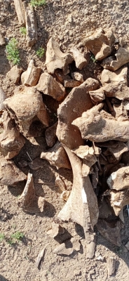 赤峰林西滑旱冰場(chǎng)電話(huà)號(hào)碼-第1張圖片