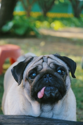 赤峰流動(dòng)酒攤電話號(hào)碼多少號(hào)-第1張圖片