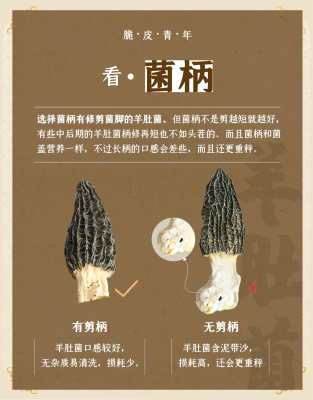 赤峰收購(gòu)羊肚菌電話號(hào)碼多少-第1張圖片