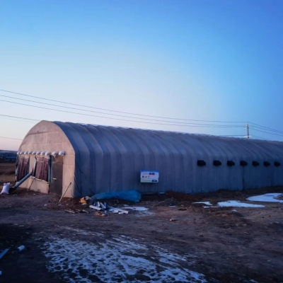 赤峰蛋雞養(yǎng)殖場電話多少號-第1張圖片